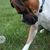 Tracie Corey Benfanti's profile image