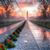 Kristina Milroy Cassels's profile image