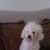 Estela Colunga's profile image