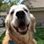 Susan Dearing-Bond's profile image