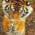 Dee Rosebluff's profile image