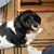 Terry Timms Slaughter Wallace's profile image