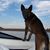 Brad Gayler's profile image