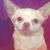 Andy Mo's profile image