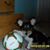Erin Byrne's profile image