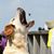 Ben King's profile image
