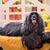 Brenda Sullivan's profile image
