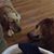 Karen Poff Bohn's profile image