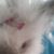 Debbie F.'s profile image