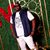 AJ James's profile image