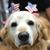 Tracee Post's profile image