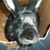 Leigh S. Carnahan's profile image