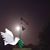 Peggy Ghiringhelli's profile image