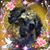 Chris Arpaia Carter's profile image