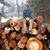 Stuart Raab's profile image