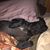Kim Wilson's profile image