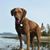 Jill McDougall's profile image