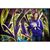 Linda Rehmert Frantz's profile image