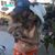 Sandy Lydon-Siewko's profile image