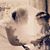 Danielle Swartz's profile image