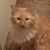 Jeff Beery's profile image