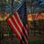 Patricia Reno's profile image