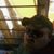 Brian Clark's profile image