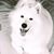 Leslie Allison-Seei's profile image