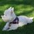 Lori Wages's profile image