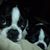 Jeannie Watters Freund's profile image