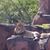 Maria Marchione Farnsworth's profile image