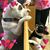 Lori Lopez's profile image