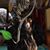 Daydum Delution's profile image