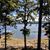 Bonnie Wallace's profile image