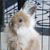 Susan Maggio Booth's profile image