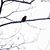 Diana Stoica's profile image