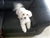 Nicole M.'s profile image