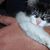 Pusekat Lafleur's profile image