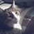 Kimberly Jones's profile image