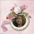 Margarita Cedres's profile image