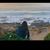 Espie Vasquez's profile image