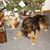 Roxanne Kuhlmann Simonds's profile image