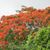 Sylviane Lelievre's profile image