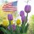 Tina Moore's profile image