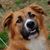 Vassi Bishop's profile image