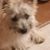 Gayle Burnett's profile image