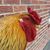 Joe Parknavy's profile image