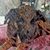 Linda Kahn Ganz's profile image
