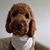 Radka Meyer's profile image