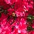 Liza Burgess Wilson's profile image